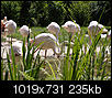 Kliknij obrazek, aby uzyskać większą wersję

Nazwa:	AAA6030060.jpg
Wyświetleń:	164
Rozmiar:	235,4 KB
ID:	100028