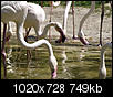 Kliknij obrazek, aby uzyskać większą wersję

Nazwa:	AAA6030065.jpg
Wyświetleń:	164
Rozmiar:	748,7 KB
ID:	100029
