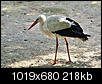 Kliknij obrazek, aby uzyskać większą wersję

Nazwa:	AAA6030081.jpg
Wyświetleń:	182
Rozmiar:	218,3 KB
ID:	100031