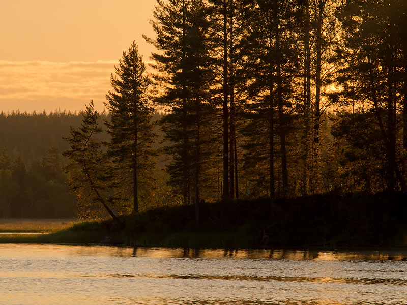 Nazwa:  FIN-O-2-050-wex.jpg
Wyświetleń: 191
Rozmiar:  155,3 KB