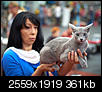 Kliknij obrazek, aby uzyskać większą wersję

Nazwa:	091.jpg
Wyświetleń:	132
Rozmiar:	360,9 KB
ID:	100194
