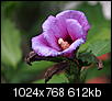 Kliknij obrazek, aby uzyskać większą wersję

Nazwa:	P9189574.JPG
Wyświetleń:	60
Rozmiar:	611,8 KB
ID:	100428