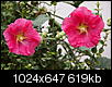 Kliknij obrazek, aby uzyskać większą wersję

Nazwa:	P9189580.JPG
Wyświetleń:	61
Rozmiar:	618,9 KB
ID:	100432