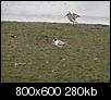 Kliknij obrazek, aby uzyskać większą wersję

Nazwa:	Resize of P9012685.JPG
Wyświetleń:	57
Rozmiar:	280,2 KB
ID:	100442