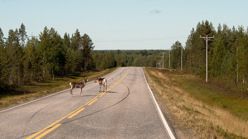 Nazwa:  FIN-O-3-247-wex.jpg
Wyświetleń: 161
Rozmiar:  149,5 KB