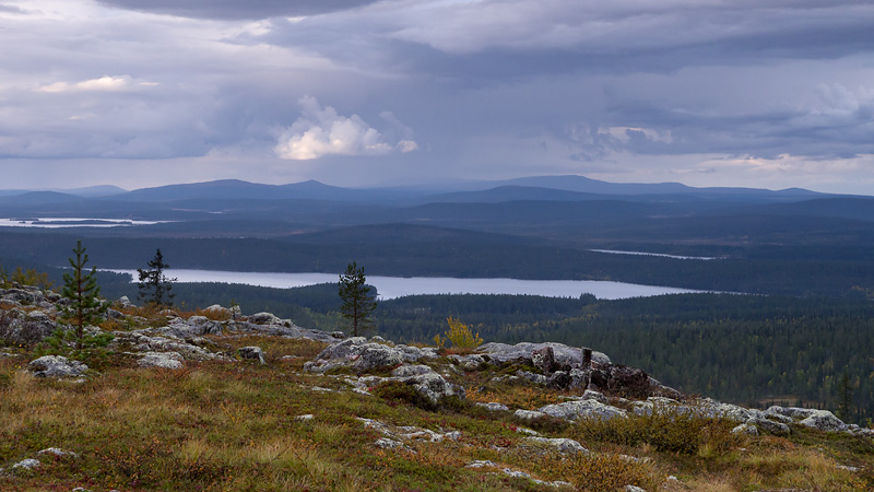 Nazwa:  FIN-O-4-223-wex.jpg
Wyświetleń: 158
Rozmiar:  141,5 KB