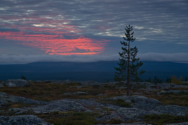 Nazwa:  FIN-S-3-012-wex.jpg
Wyświetleń: 158
Rozmiar:  148,2 KB