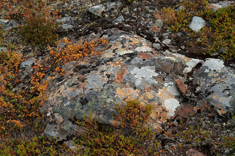 Nazwa:  FIN-S-3-151-wex.jpg
Wyświetleń: 151
Rozmiar:  184,0 KB