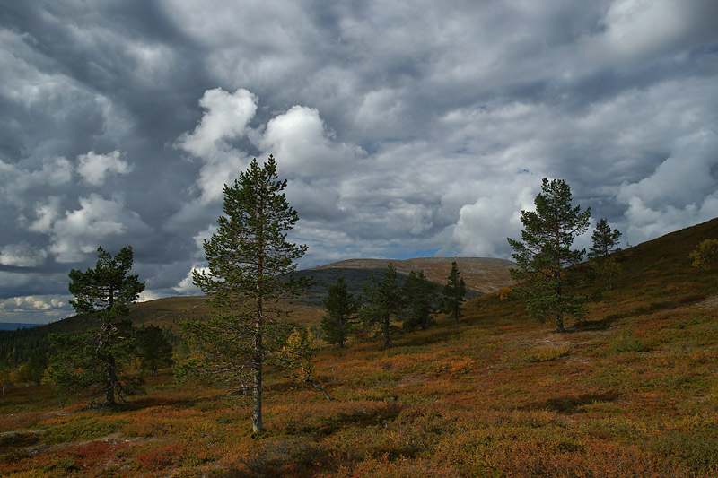 Nazwa:  FIN-S-4-004-wex.jpg
Wyświetleń: 155
Rozmiar:  149,6 KB