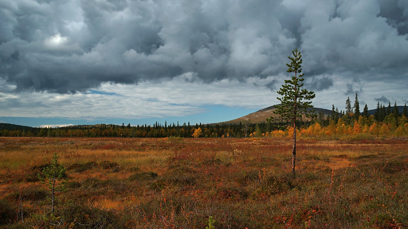 Nazwa:  FIN-S-4-078-wex.jpg
Wyświetleń: 150
Rozmiar:  149,6 KB