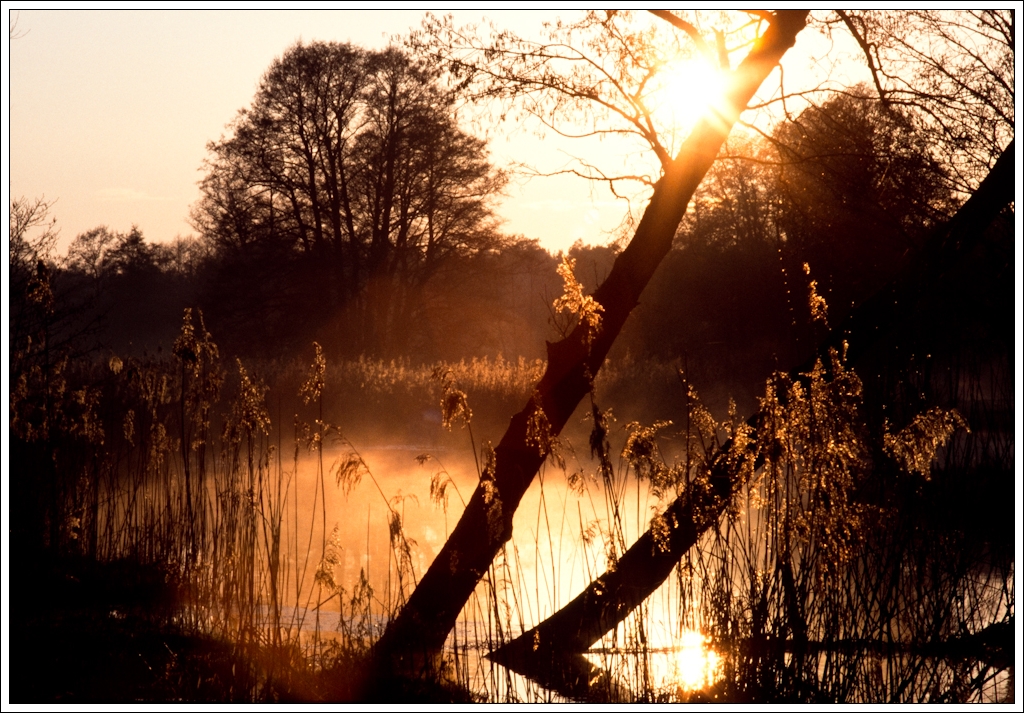 Nazwa:  P9275589.jpg
Wyświetleń: 123
Rozmiar:  658,1 KB