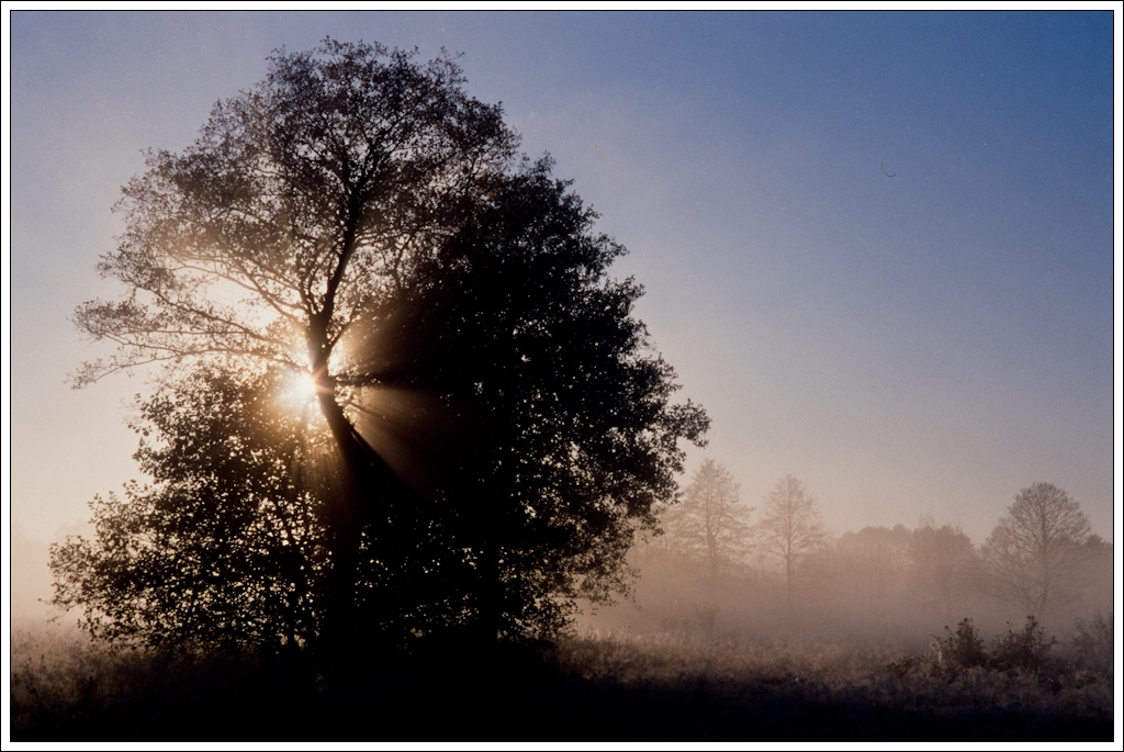 Nazwa:  P9275592.jpg
Wyświetleń: 130
Rozmiar:  526,3 KB