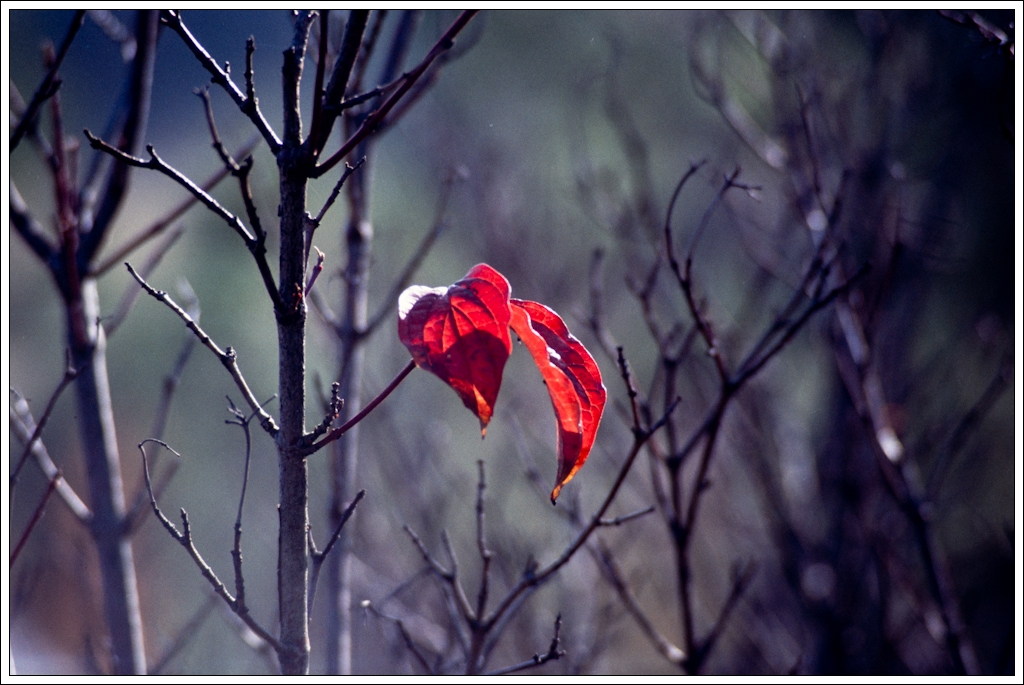 Nazwa:  P9275591.jpg
Wyświetleń: 132
Rozmiar:  512,5 KB