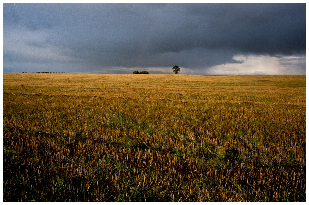 Nazwa:  P9275598.jpg
Wyświetleń: 120
Rozmiar:  673,0 KB