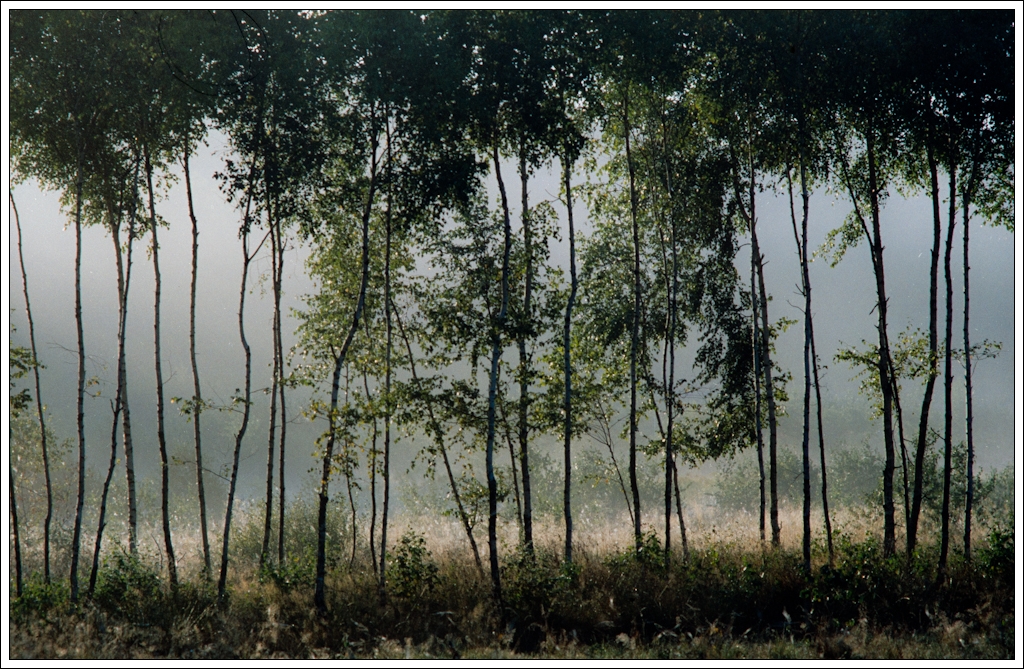 Nazwa:  P9275604.jpg
Wyświetleń: 123
Rozmiar:  704,4 KB