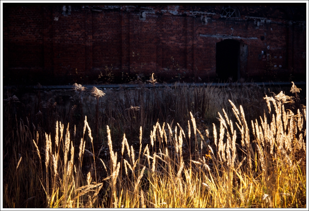 Nazwa:  P9295628.jpg
Wyświetleń: 114
Rozmiar:  655,0 KB