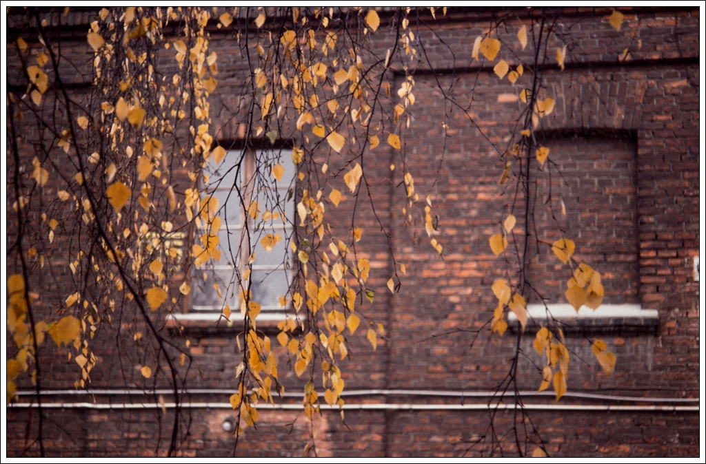 Nazwa:  P9295633.jpg
Wyświetleń: 108
Rozmiar:  640,5 KB