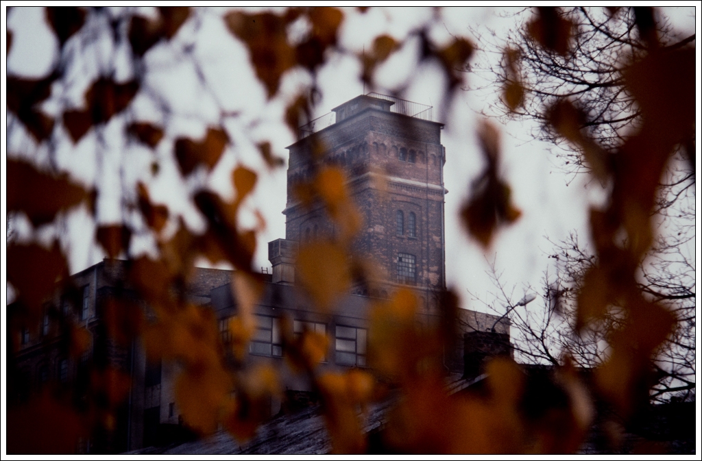 Nazwa:  P9295632.jpg
Wyświetleń: 113
Rozmiar:  486,1 KB