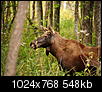 Kliknij obrazek, aby uzyskać większą wersję

Nazwa:	PA020059.JPG
Wyświetleń:	251
Rozmiar:	548,4 KB
ID:	101144