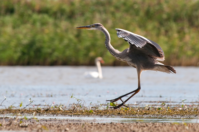Nazwa:  _9010561.jpg
Wyświetleń: 104
Rozmiar:  202,5 KB