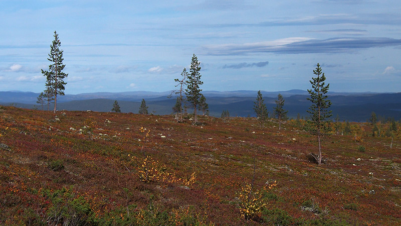 Nazwa:  FIN-O-7-067-wex.jpg
Wyświetleń: 180
Rozmiar:  150,6 KB