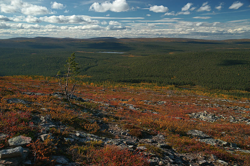 Nazwa:  FIN-S-6-143-wex.jpg
Wyświetleń: 212
Rozmiar:  154,3 KB