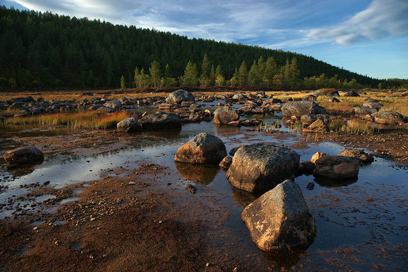 Nazwa:  FIN-S-6-196-wex.jpg
Wyświetleń: 199
Rozmiar:  150,0 KB