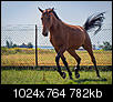 Kliknij obrazek, aby uzyskać większą wersję

Nazwa:	02a.jpg
Wyświetleń:	61
Rozmiar:	781,6 KB
ID:	102300