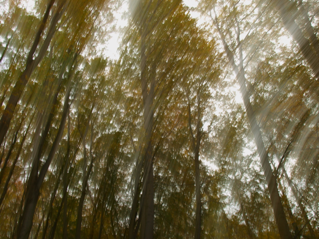 Kliknij obrazek, aby uzyskać większą wersję

Nazwa:	PA185884zamazano.jpg
Wyświetleń:	180
Rozmiar:	570,8 KB
ID:	102654