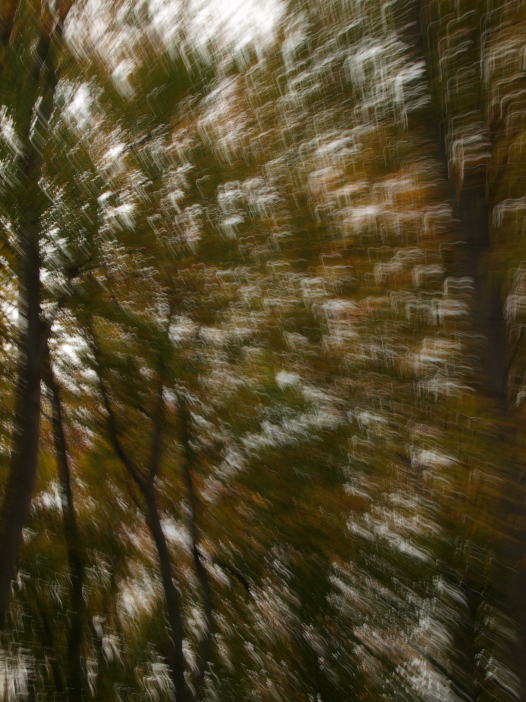 Kliknij obrazek, aby uzyskać większą wersję

Nazwa:	PA185890narkotyk.jpg
Wyświetleń:	175
Rozmiar:	466,3 KB
ID:	102656