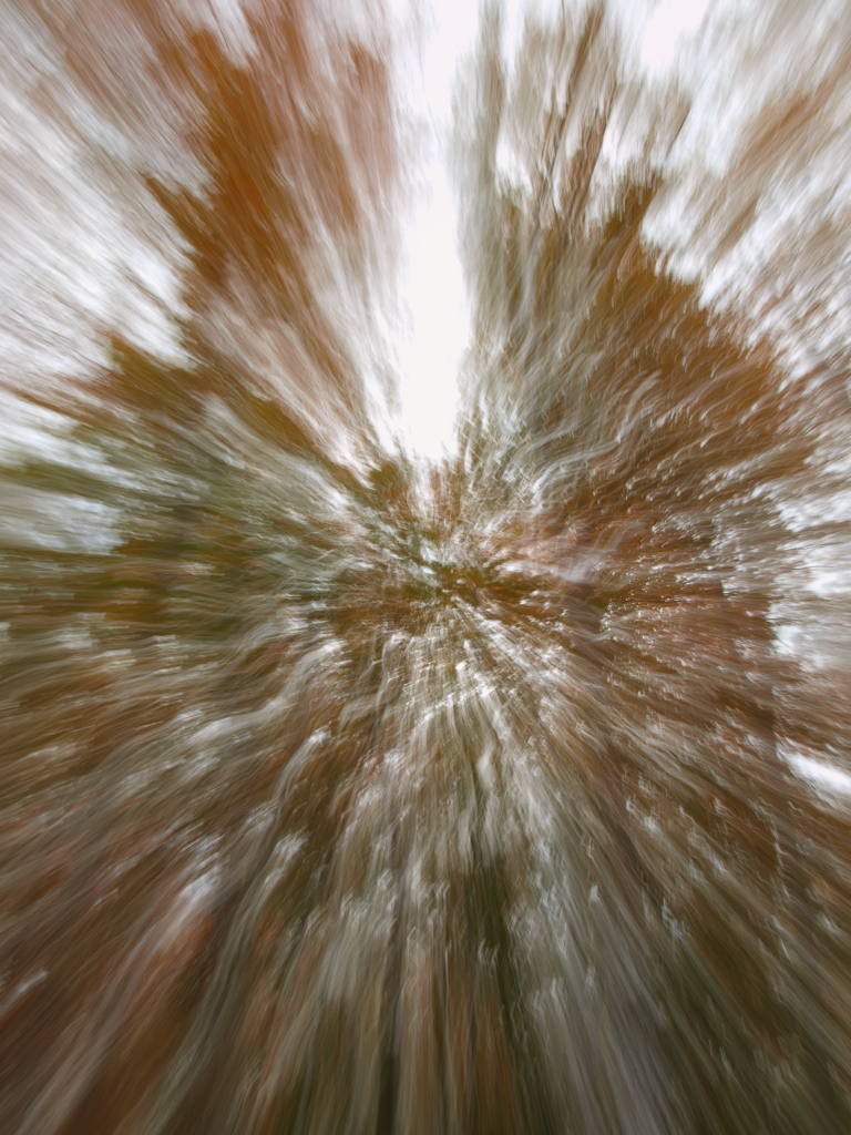 Kliknij obrazek, aby uzyskać większą wersję

Nazwa:	PA185895wizja.jpg
Wyświetleń:	168
Rozmiar:	440,6 KB
ID:	102658