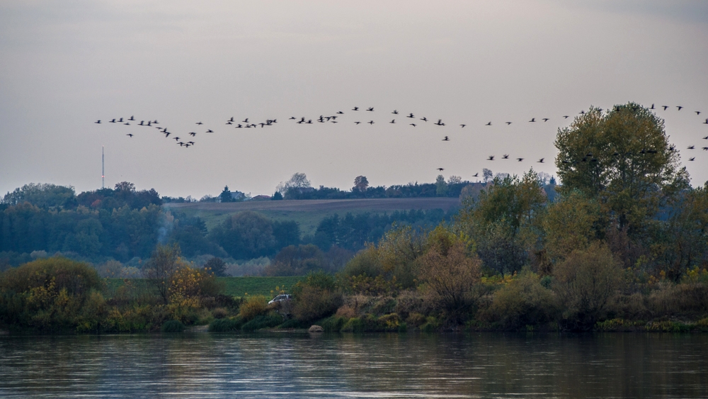Nazwa:  PA200045-4.jpg
Wyświetleń: 156
Rozmiar:  399,3 KB
