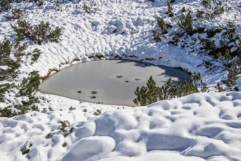 Nazwa:  TatryZ20o-3.JPG
Wyświetleń: 171
Rozmiar:  491,9 KB