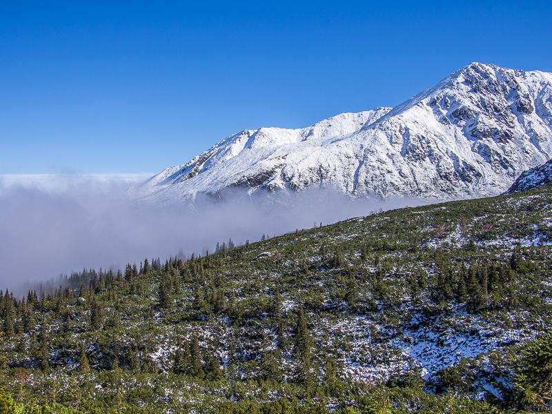 Nazwa:  TatryZ20o-5.JPG
Wyświetleń: 180
Rozmiar:  597,3 KB