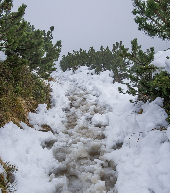Nazwa:  Tatry30olek-9.JPG
Wyświetleń: 194
Rozmiar:  499,9 KB