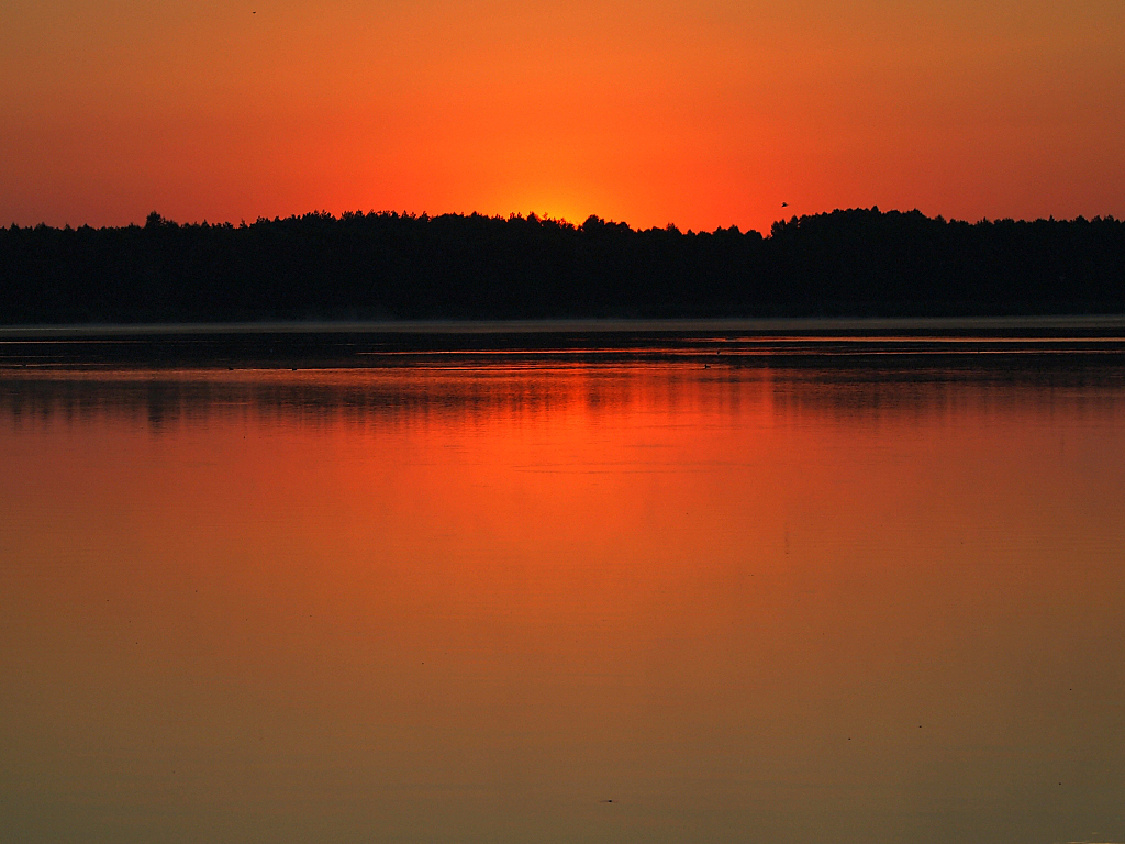 Kliknij obrazek, aby uzyskać większą wersję

Nazwa:	wschĂłd.JPG
Wyświetleń:	193
Rozmiar:	941,0 KB
ID:	103166
