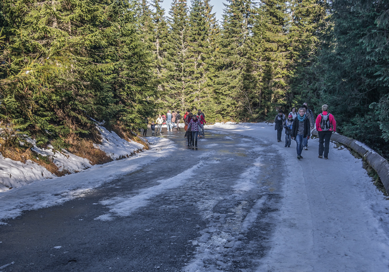 Nazwa:  Tatry50olek.JPG
Wyświetleń: 177
Rozmiar:  594,1 KB