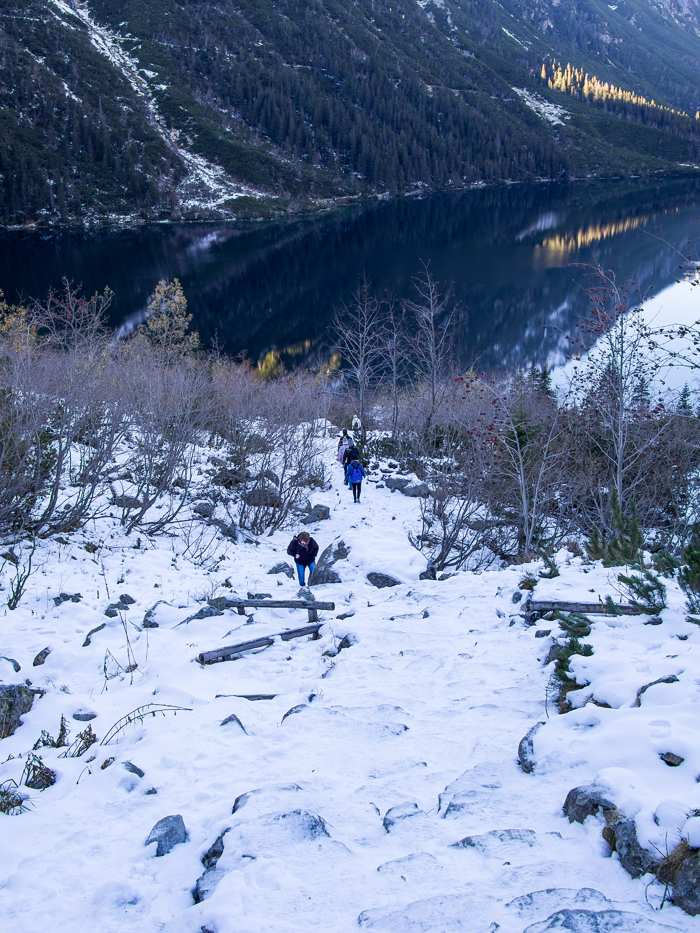 Nazwa:  Tatry60aolek-2.JPG
Wyświetleń: 320
Rozmiar:  736,5 KB