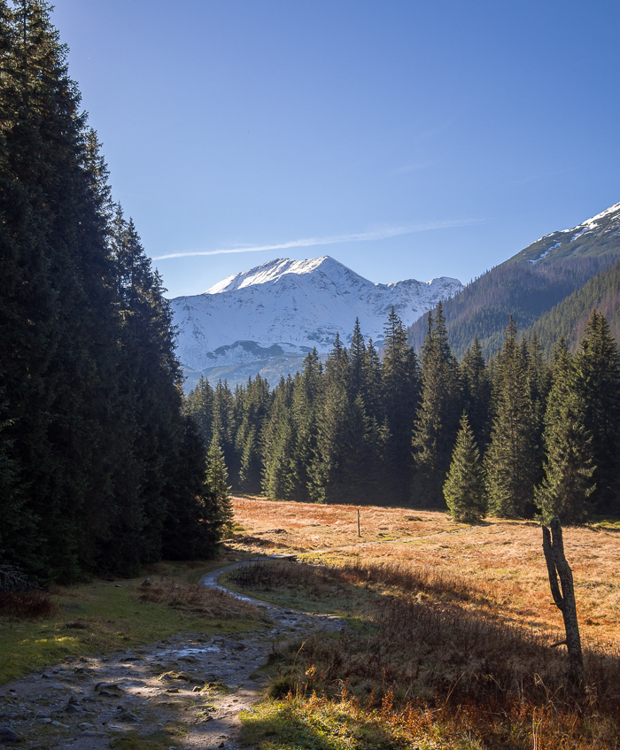Nazwa:  Tatrya70aolek-6.JPG
Wyświetleń: 289
Rozmiar:  588,4 KB