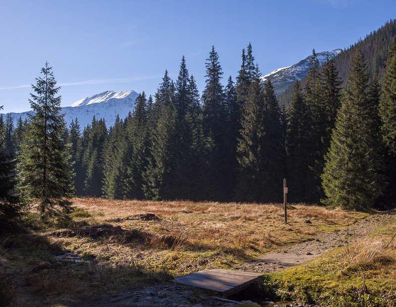 Nazwa:  Tatrya70aolek-8.JPG
Wyświetleń: 285
Rozmiar:  584,3 KB