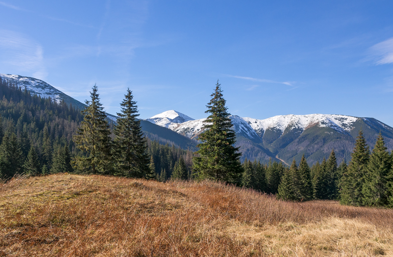 Nazwa:  Tatrya71nolek.JPG
Wyświetleń: 291
Rozmiar:  445,5 KB