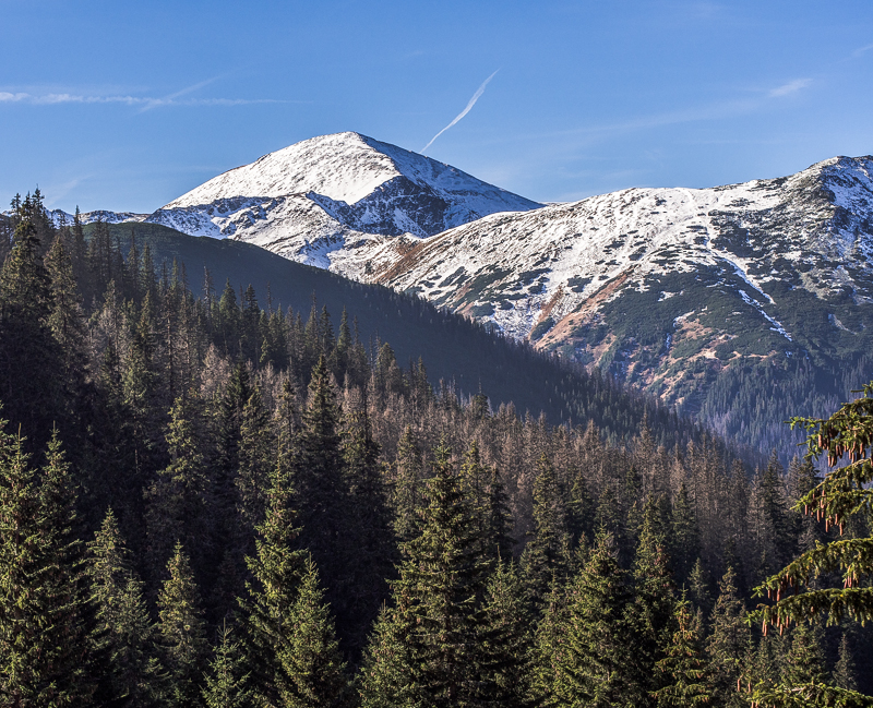 Nazwa:  Tatrya71nolek-2.JPG
Wyświetleń: 296
Rozmiar:  615,6 KB