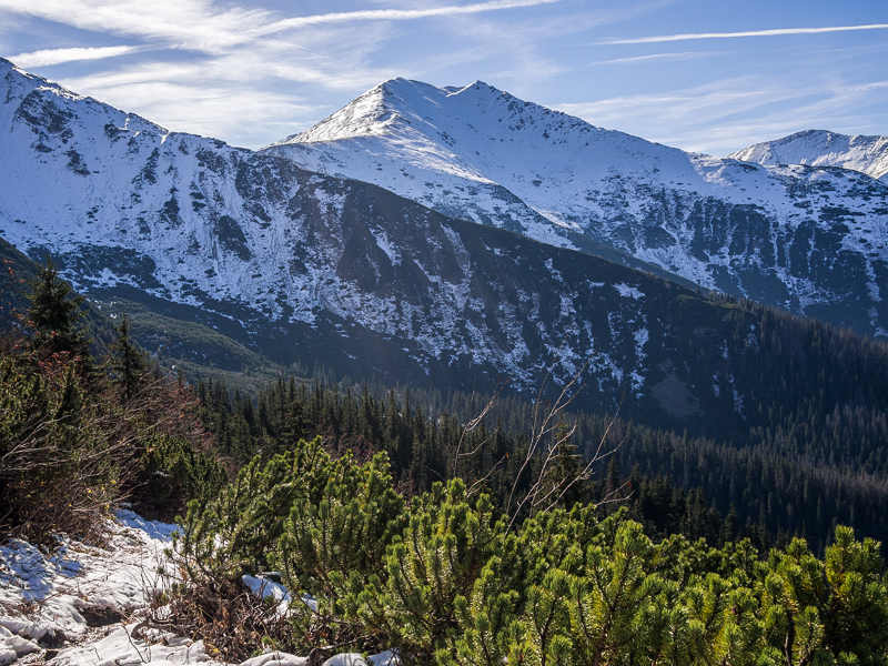 Nazwa:  Tatry80oleka.JPG
Wyświetleń: 194
Rozmiar:  596,7 KB
