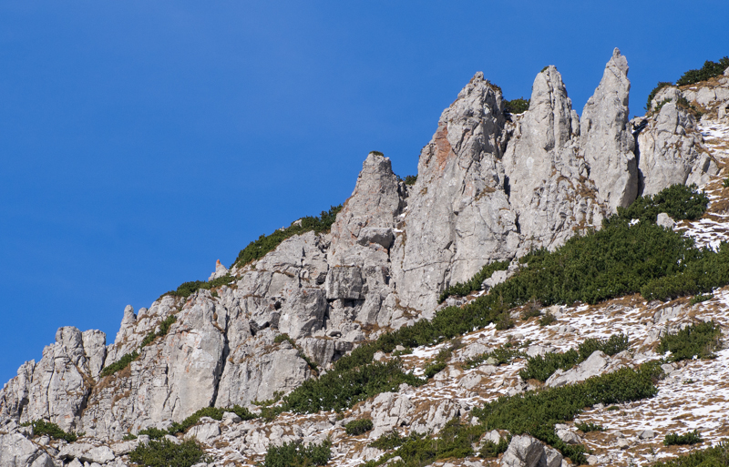 Nazwa:  Tatry80oleka-3.JPG
Wyświetleń: 190
Rozmiar:  447,2 KB