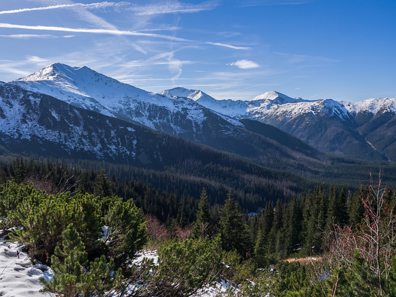 Nazwa:  Tatry80oleka-9.JPG
Wyświetleń: 193
Rozmiar:  525,2 KB