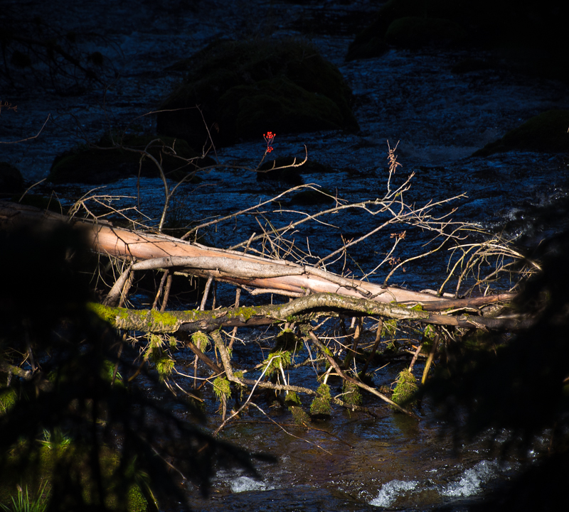 Nazwa:  Tatry80oleka-10.JPG
Wyświetleń: 189
Rozmiar:  565,8 KB