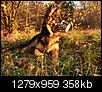 Kliknij obrazek, aby uzyskać większą wersję

Nazwa:	PA312891PA312891PA312891 - Kopia.jpg
Wyświetleń:	39
Rozmiar:	358,2 KB
ID:	103745