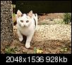 Kliknij obrazek, aby uzyskać większą wersję

Nazwa:	PA306065-1.JPG
Wyświetleń:	67
Rozmiar:	928,3 KB
ID:	103785