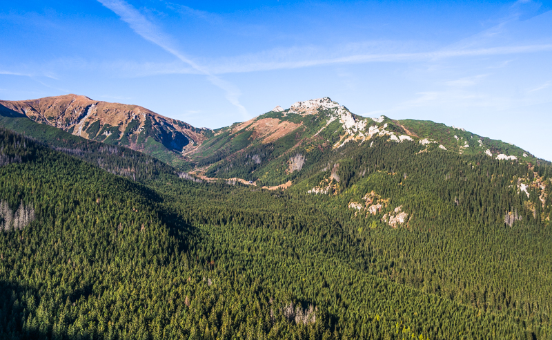 Nazwa:  Tatry110olek-2.JPG
Wyświetleń: 301
Rozmiar:  512,3 KB