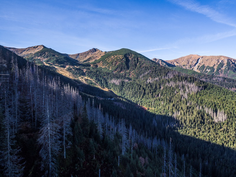 Nazwa:  Tatry110olek-3.JPG
Wyświetleń: 306
Rozmiar:  500,6 KB